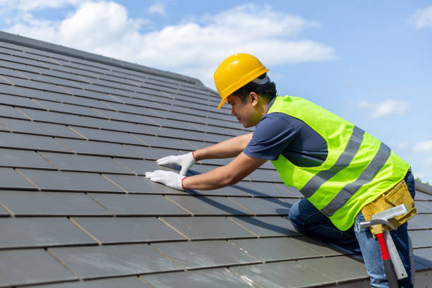Best Roof Maintenance Services  in Trenton, MI