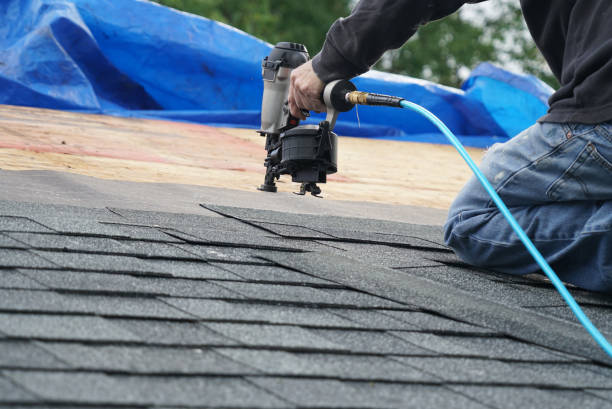Roof Gutter Cleaning in Trenton, MI