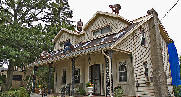 Best Affordable Roofing Company  in Trenton, MI