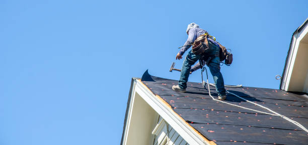 Best Gutter Installation and Roofing  in Trenton, MI